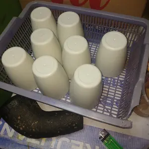 [COD] Gelas Polos Dan Gelas Gagang/ Wheat Straw/ Gelas Jerami gandum/ BPA Free/ Food Grade