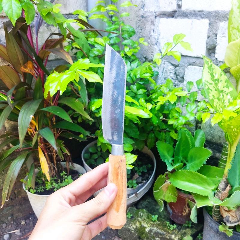 (PAKET 10 PCS) PISAU TGR DAPUR BAJA STRIP TIPIS PISAU BUAH SAYUR DAGING 3
