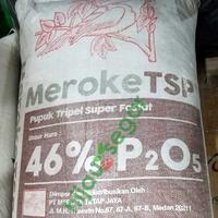 Gambar [Meroke] PUPUK PHOSPAT FOSFAT POSPAT TSP ORI REPACK 1 KG dari hijausegarcom Kota Malang 1 Tokopedia