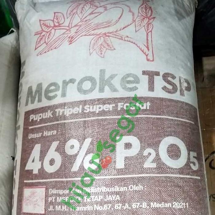 Gambar [Meroke] PUPUK PHOSPAT FOSFAT POSPAT TSP ORI REPACK 1 KG dari hijausegarcom Kota Malang Tokopedia