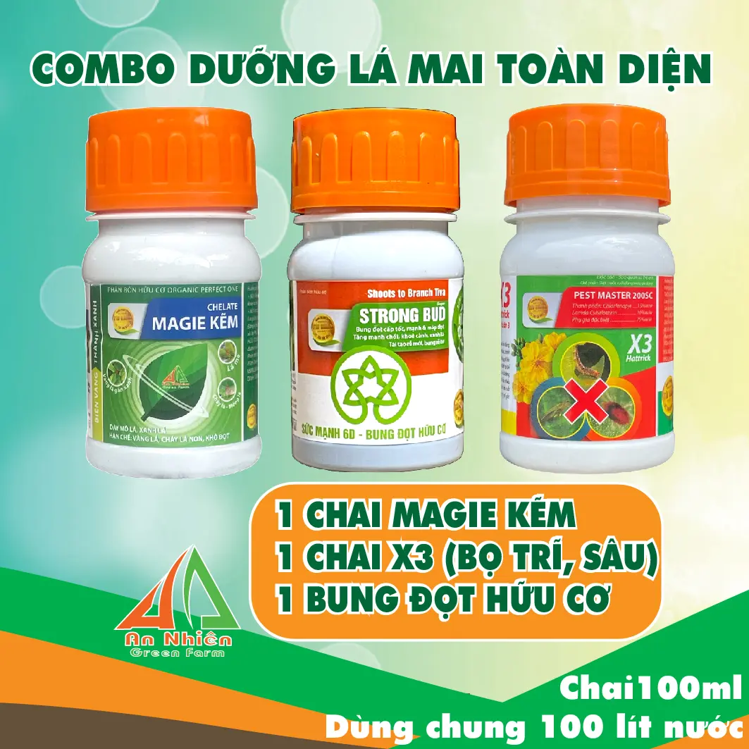 COMBO DƯỠNG LÁ MAI VÀNG BỘ 3 TOÀN DIỆN
