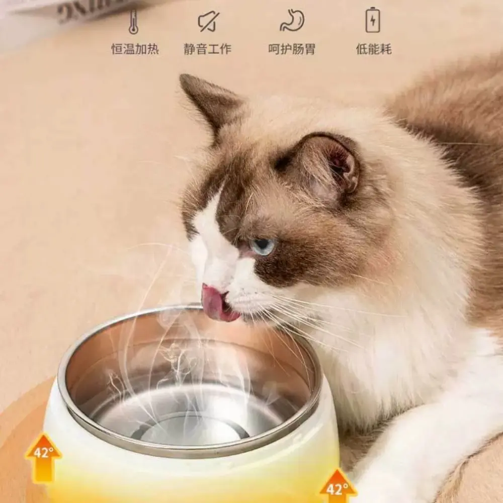 1-piece Cat Water Fountain Set, featuring constant temperature control, large capacity, excellent sealing for moisture protection, silent operation with ultra-low noise, and a detachable design for convenient cleaning.