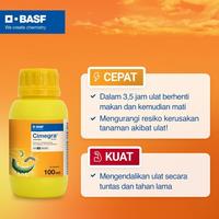 Gambar Cimegra 100SC 50ml Insektisida Untuk Hama Ampuh Basmi Ulat Daun dari BASF Petani Sejahtera Kota Tangerang 2 Tokopedia