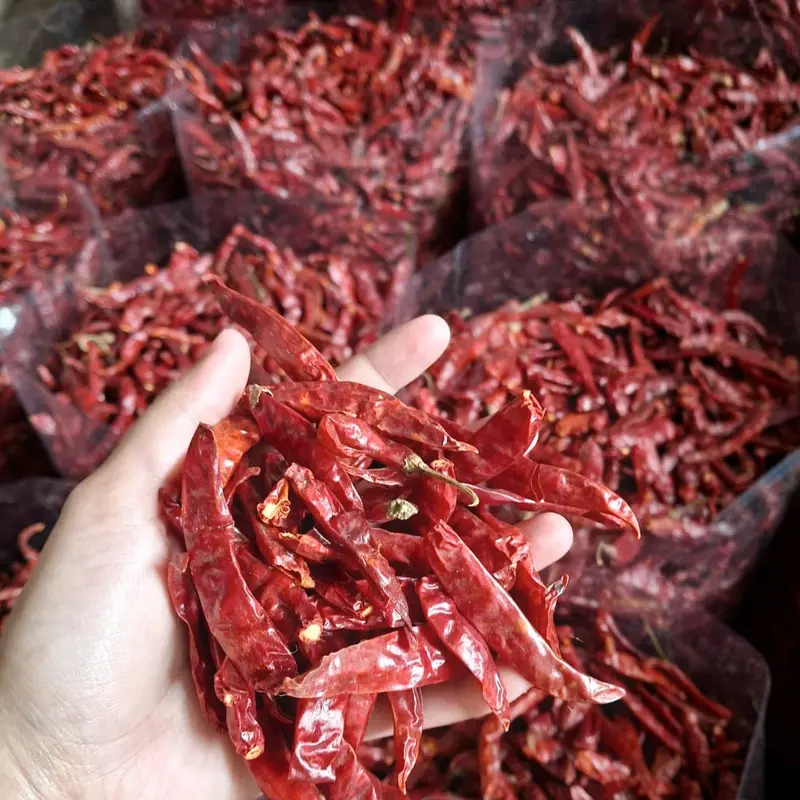 MURAH 1KG CABE RAWIT TEJA SETAN KERING KUAKITAS SUPER PEDAS 1