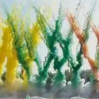 Gambar ASAP WARNA HALO WARNA SEMBURAN ASAP WARNA WARNI ASAP SMOKE BOMB WARNA - Orange dari TRUBUS LED Kota Bekasi 1 Tokopedia