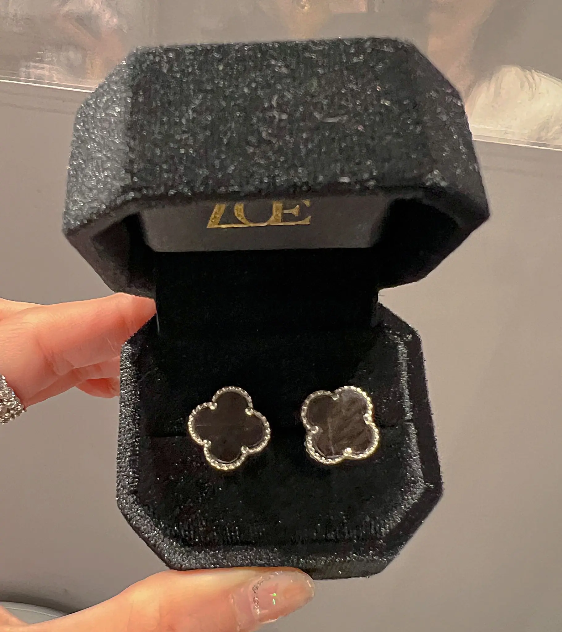 ABCDE - HYPERTHENE EARRING