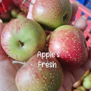 APEL MALANG JENIS ROMEBEAUTY KECIL SEKILO ISI 25-27 BUAH