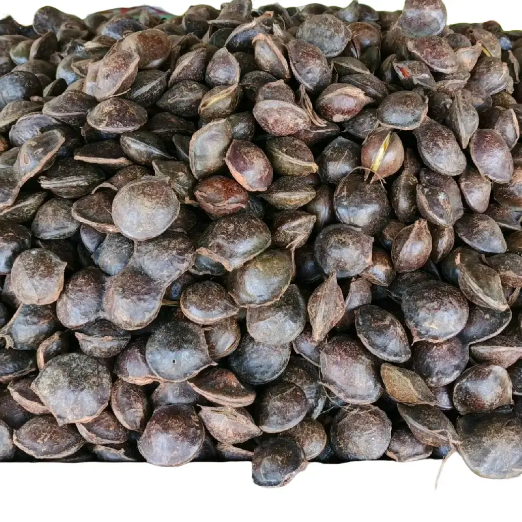 Jering Tua Murah 1KG Food kering