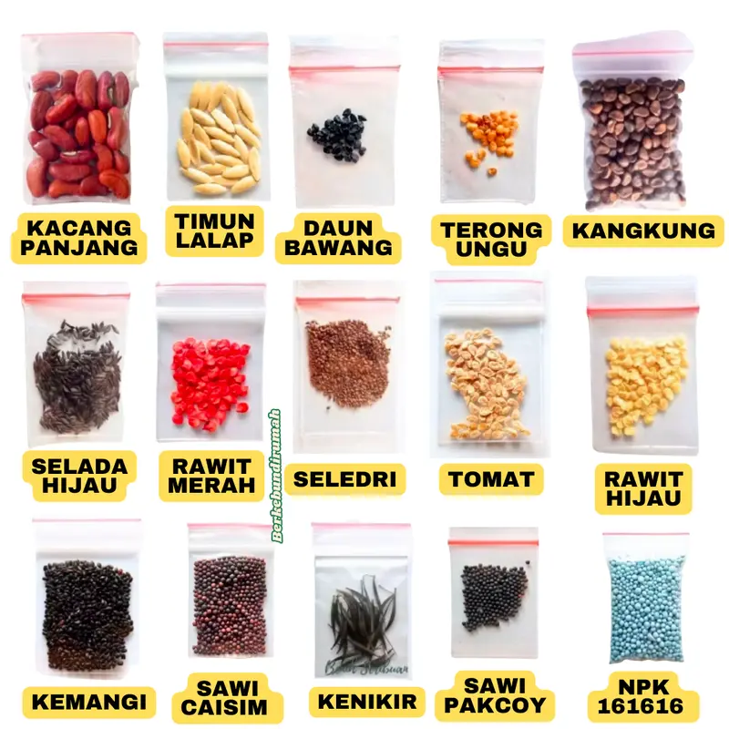 Paket Benih Sayuran Lengkap 14 Jenis untuk Pemula dengan Bonus NPK 161616 - Hijau, Merah Hijau Bawang Daun Kangkung Kemangi Pakcoy Sawi Putih