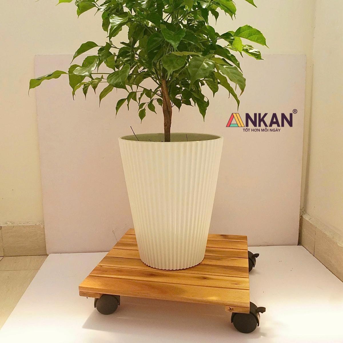 3c4ad5ac3cb9488296d91427d4143828~tplv-aphluv4xwc-origin-jpeg.jpeg?dr=15568&t=555f072d&ps=933b5bde&shp=1c65f68b&shcp=9b759fb9&idc=my2&from=476444299