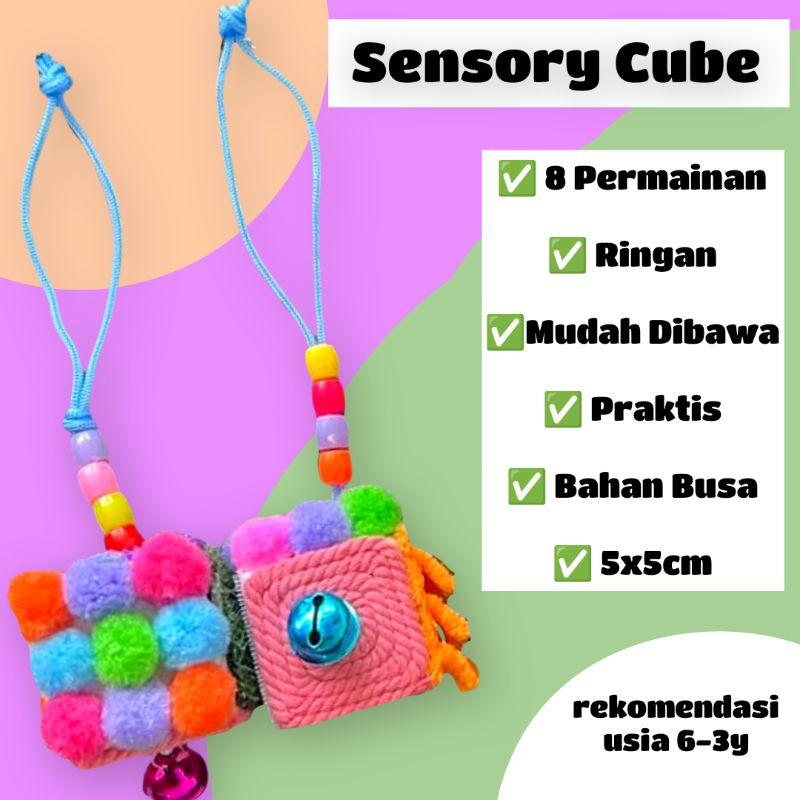 Mainan Montessori Sensory Cube Mainan Motorik Bayi 0