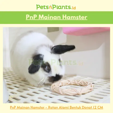 PnP Small Pet Toys Mainan Hamster Kelinci - Rotan Alami Bentuk Donat - Diameter 12 CM