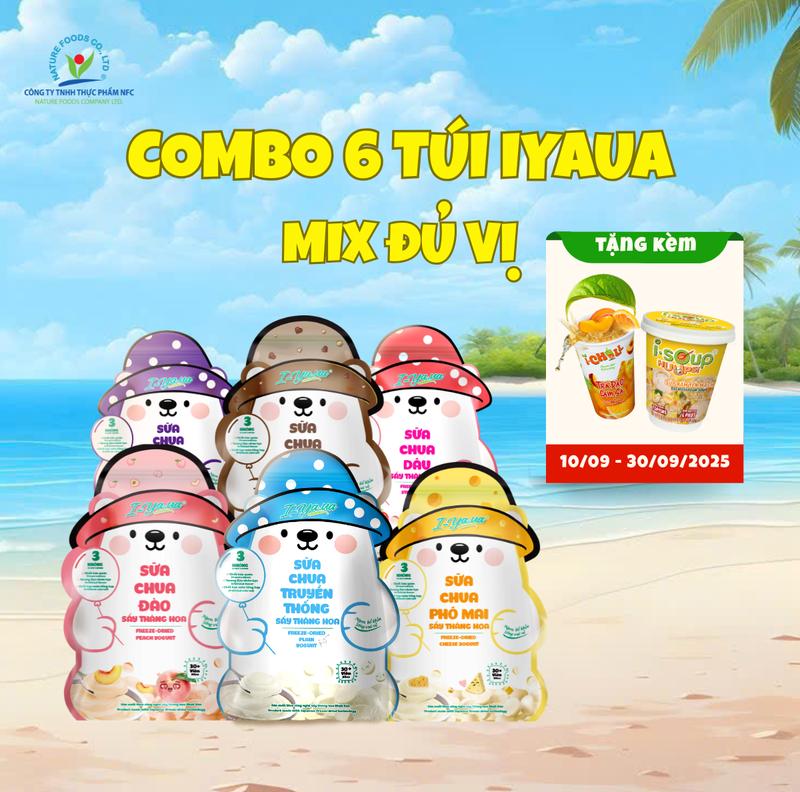 [COMBO 6 TÚI] Sữa Chua Sấy Thăng Hoa IYaua Gấu Hạt Nút Mix VỊ (Dâu, Đào, Phô mai, Socola Chip, Truyền thống, Việt quất) 16G