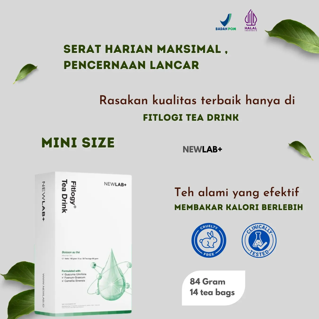 Suplemen Kesehatan Metabolisme Tubuh | NEWLAB Fitlogy Teh Herbal - 14 Tea Bag