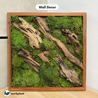 Gambar Workplant - Preserved Moss Lumut Hutan Yang Diawetkan Untuk Dekorasi Indoor Terrarium Landscape Hiasan Dinding - Hijau Muda dari workplant official Kota Surabaya 4 Tokopedia
