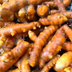 KUNYIT SUPER BAHAN REMPAH MAKANAN 1 KG