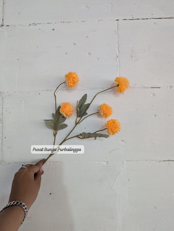 Pom Pom Pingpong Cabang 5 Bunga Lusinan Bunga Dekorasi Murah Pom Pom Pingpong Cabang 5 Bunga Lusinan Bunga Dekorasi Murah