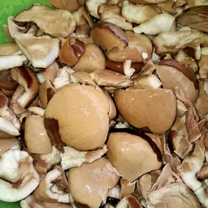 jual buah picung atau klewek sudah dikupas 350 grm sebelum dimasak direndam dulu sampai rasa pahitnya