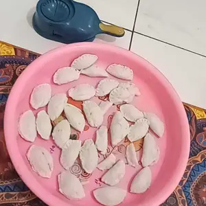 Cetakan Pangsit 2 In 1 Manual Alat Pembuat Pastel Cireng Dumpling Mini Homemade Anti Lengket