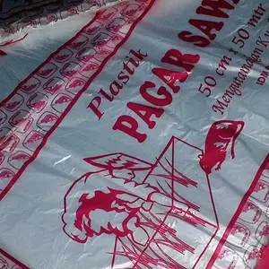 pagar sawah cocok buat layangan papiran juga