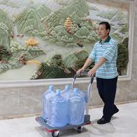 Gambar AZKO Maxbuilt Troli Barang Lipat - Abu-Abu Alat Pengangkut Barang Dengan Roda Wheels Cart Troli Kardus Box Perlengkapan Industri dari AZKO ID Kota Administrasi Jakarta Barat 3 Tokopedia