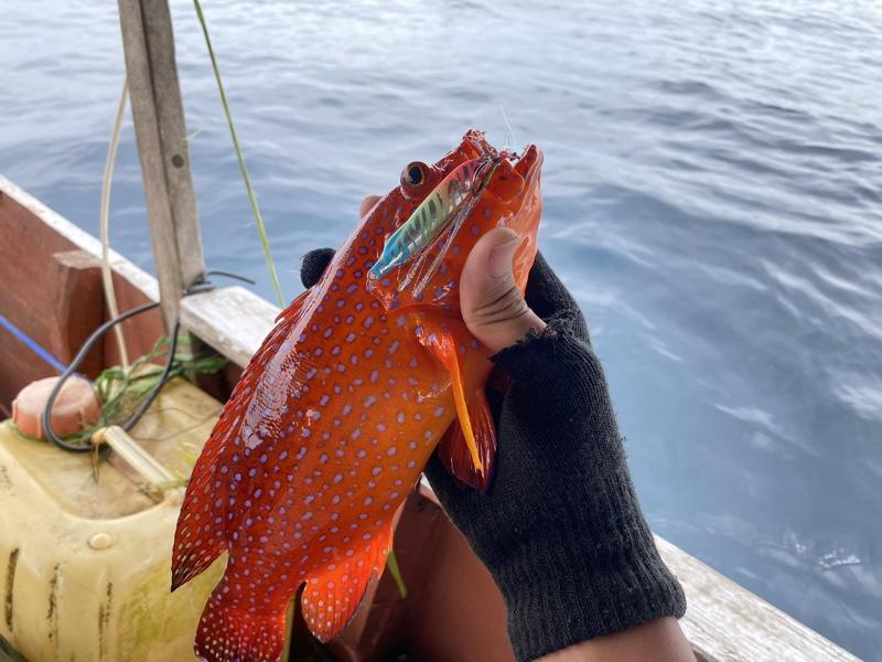 Micro jig Bolo-bolo jig 20gr (glow in the dark)