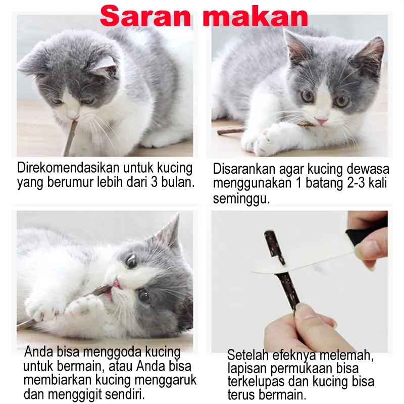 Catnip Stick Snack Kucing Kayu Matatabi Camilan Mainan Gigit Cat Nip Toys 6