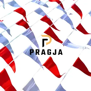 PRAGJA Dekorasi Agustusan Umbul Segitiga Warna Warni 5M/16lembar Tali