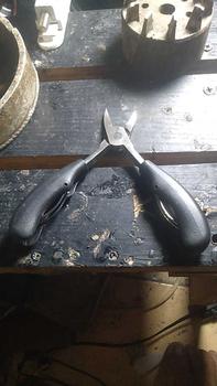 Product Review of Gunting Kuku Miring Anti Cantengan Pemotong Kuku Miring Jempol Kaki Stainles Steel from A**l K**r 0