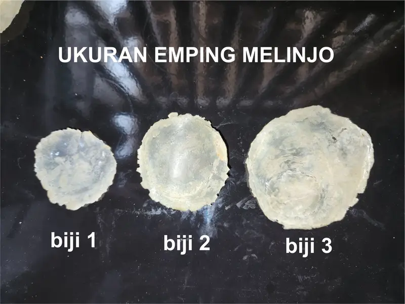 (5kg EMPING MELINJO) MENTAH ASLI  KHAS KEBUMEN Camilan Food Snack Makanan Keripik Kripik 1