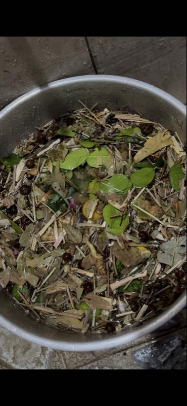 Minyak urut kem kem cap cengkeh 1 litter dewasa anak anak