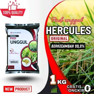 HERCULES Padi Unggul Original Kemasan 1-5KG Berkecambah 99,9% Premium