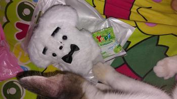 Product Review of Plushie Keyring Doll Enhypen from h**a 0