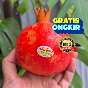 DELIMA MERAH PREMIUM | Delima impor merah |pomegranate