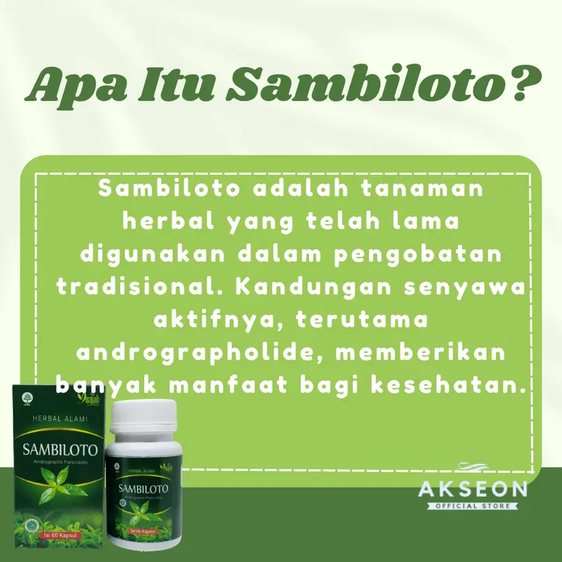 KAPSUL HERBAL ALAMI SAMBILOTO INAYAH KAPSUL 2