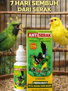 NANJUNG POWER - OBAT ANTI SERAK BURUNG - VITAMIN ANTI SERAK BURUNG - OBAT BURUNG SERAK SUARA - VITAMIN BURUNG SERAK AGAR CEPAT PULIH - OBAT BURUNG SERAK PALING AMPUH - CARA MENGATASI BURUNG SERAK SUARA - OBAT BURUNG SERAK SETELAH LOMBA - 10 MILI