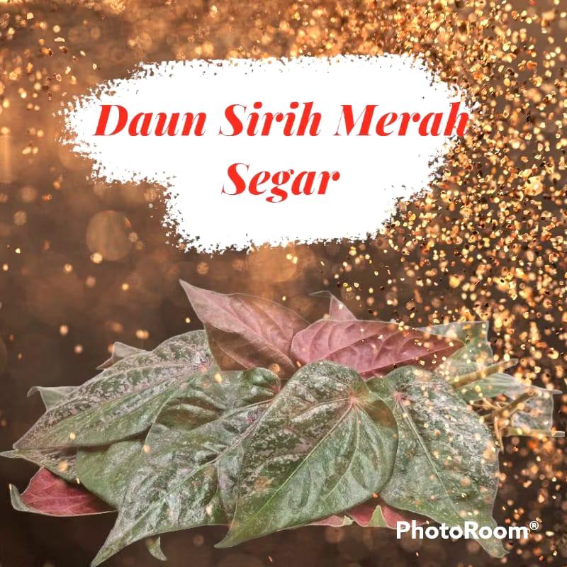 Tisu Keputihan Daun Sirih Merah Asli 10 Lembar - Antiseptik, Antioksidan, dan Nutrisi untuk Kesehatan Kulit dan Organ Intim Wanita Feminine