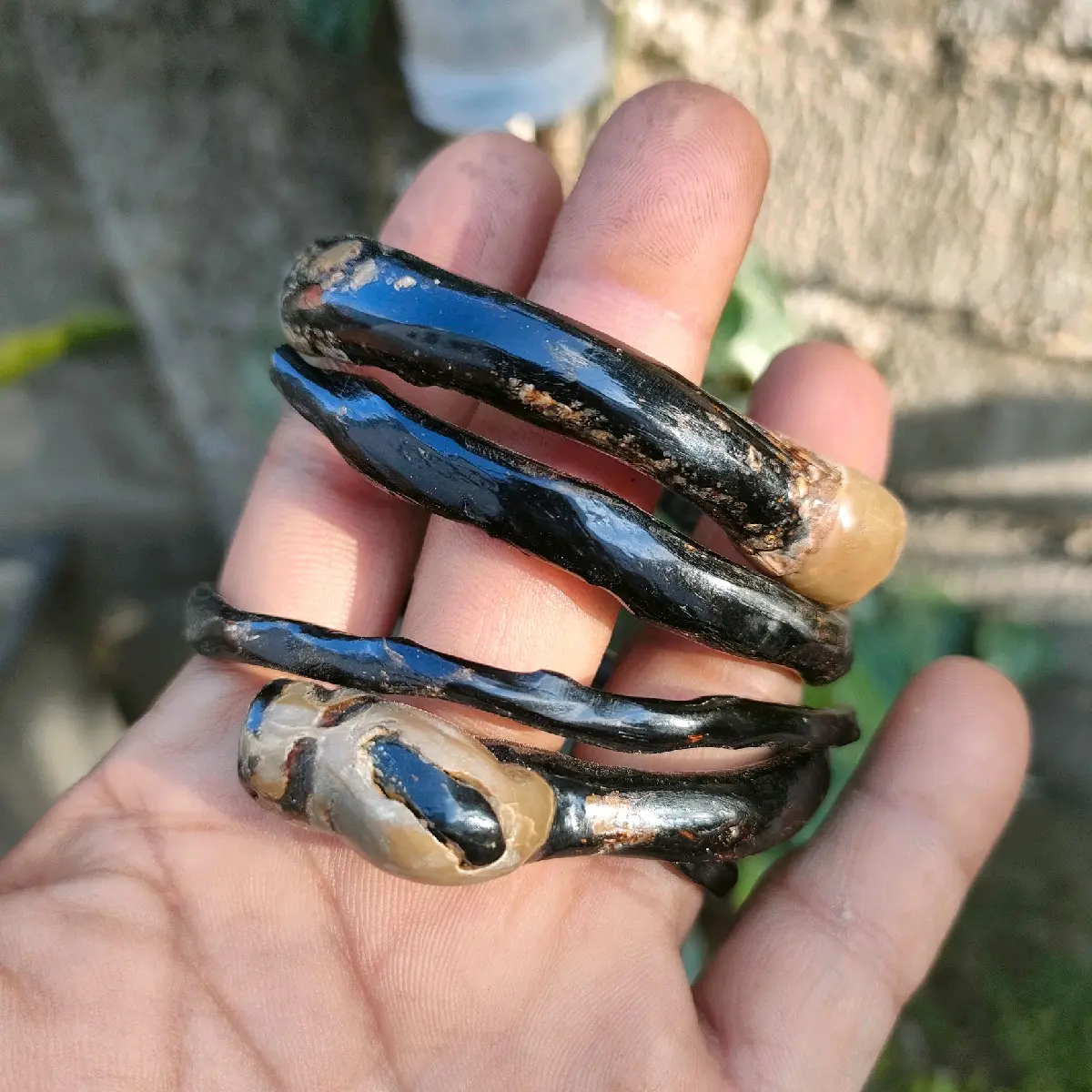 gelang bahar hitam lentur bonggol asli Bracelets