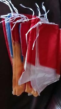 Product Review of Bendera umbul umbul merah putih indonesia gergaji warna warni 8 daun panjang 2,7m bahan polyester grade A from R**a P**i 1