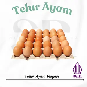 Telur Ayam Negeri Fresh 30 butir