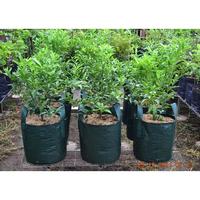 Gambar Planter Bag Easy Grow 18 Liter / Planter Bag Easy Grow Original / Pot Tanaman dari Easy Grow_NEW Kab. Gunungkidul 5 Tokopedia