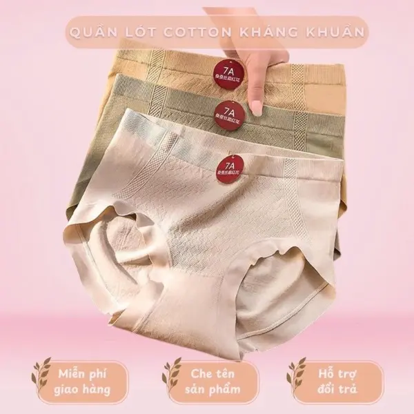 Combo 10 Quần Lót Nữ Cạp Cao Gen Cotton Mã 7A FreeSize 45-65kg Women 1