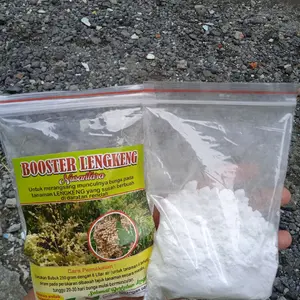 Boster Kelengkeng Kemasan 100 Gr Murni Serbuk Langsung Kirim