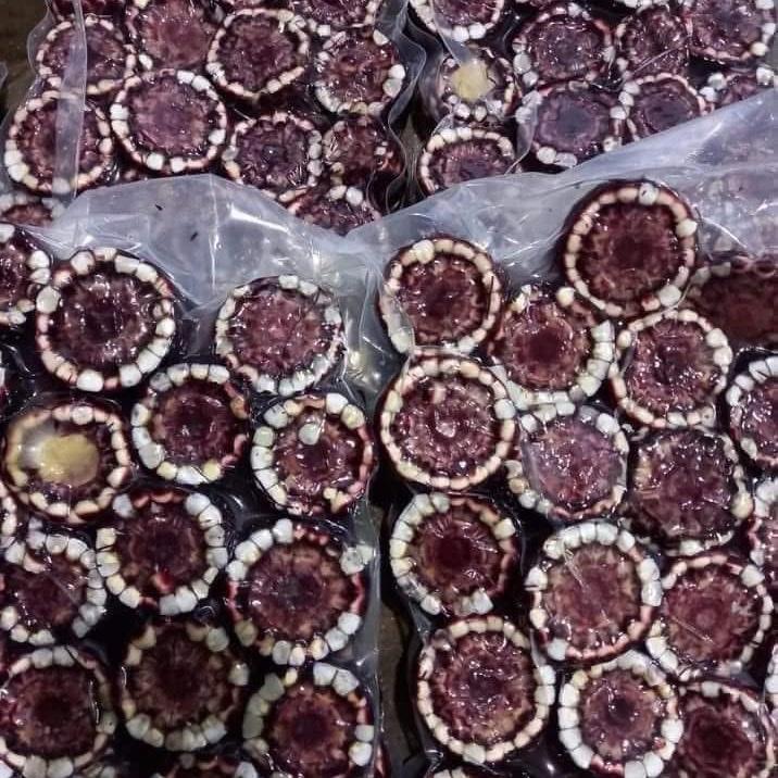 2KG Ngô tím Điện Biên - ngâm rượ.u thơm ngon, bổ dưỡng, màu đẹp - 2kg - hạt giống - túi trà - trà 3