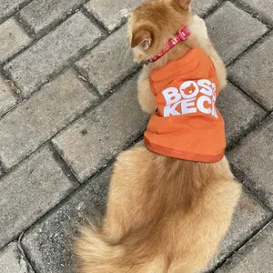 Baju Kucing Anjing Cowok  Bulu Lucu Kecil-Bukipet Bos Kecil