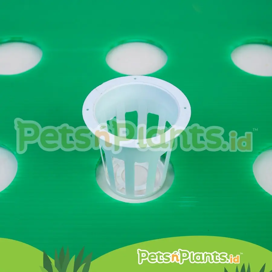 D-56 - Netpot Putih Lubang Samping