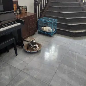 Pawsitively Papan Garukan Kucing Mainan Bentuk Oval 2in1 Pet Scratcher Serbaguna Ekstra Tebal Ramah Lingkungan Desain Sarang Lebah Anti-Cakaran Bisa Untuk Tidur Dan Main