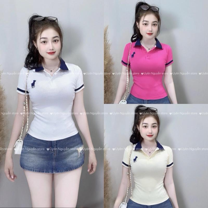  A10 -   MỞ BÁN  Áo thun polo vải cotton xịn phối cổ bo dệt thêu ngựa  phom basic đẹp tôn dáng 