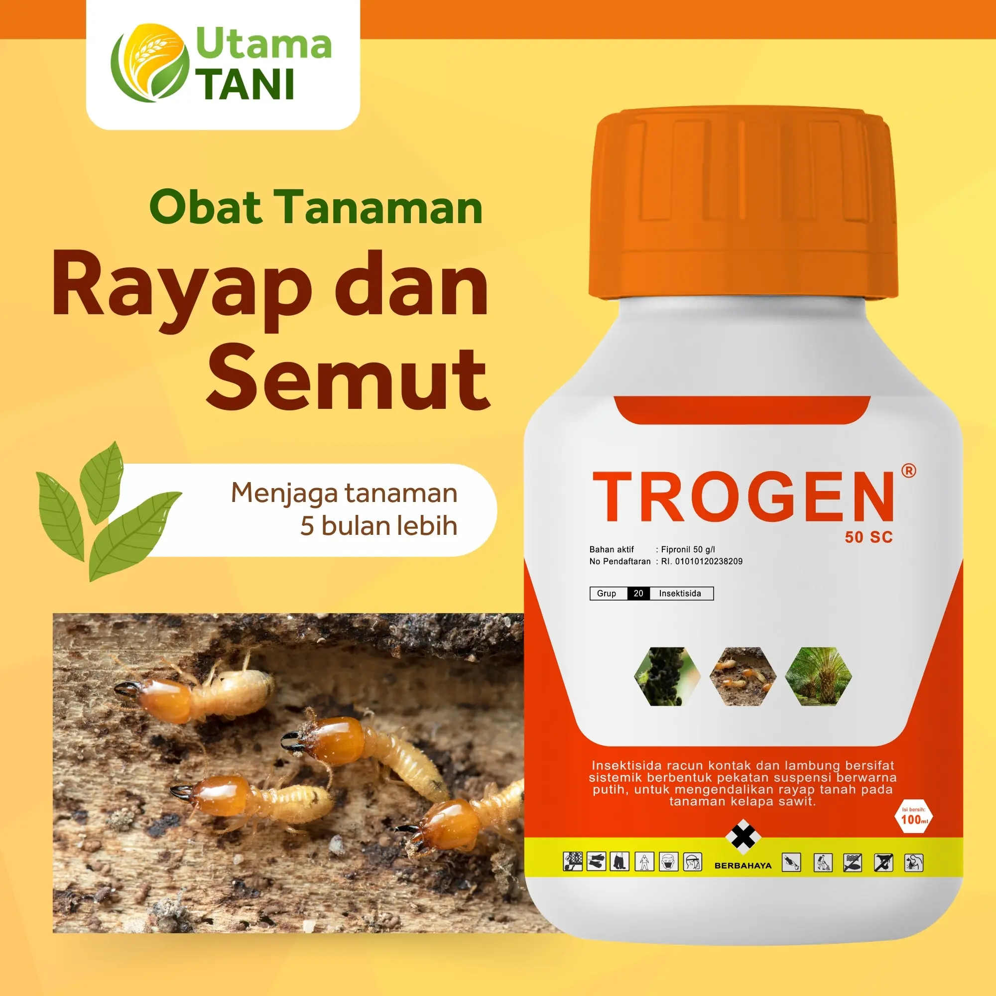 Trogen Obat Semut dan Rayap Ampuh Tahan 5 Bulan Untuk Tanaman dan Furnitur