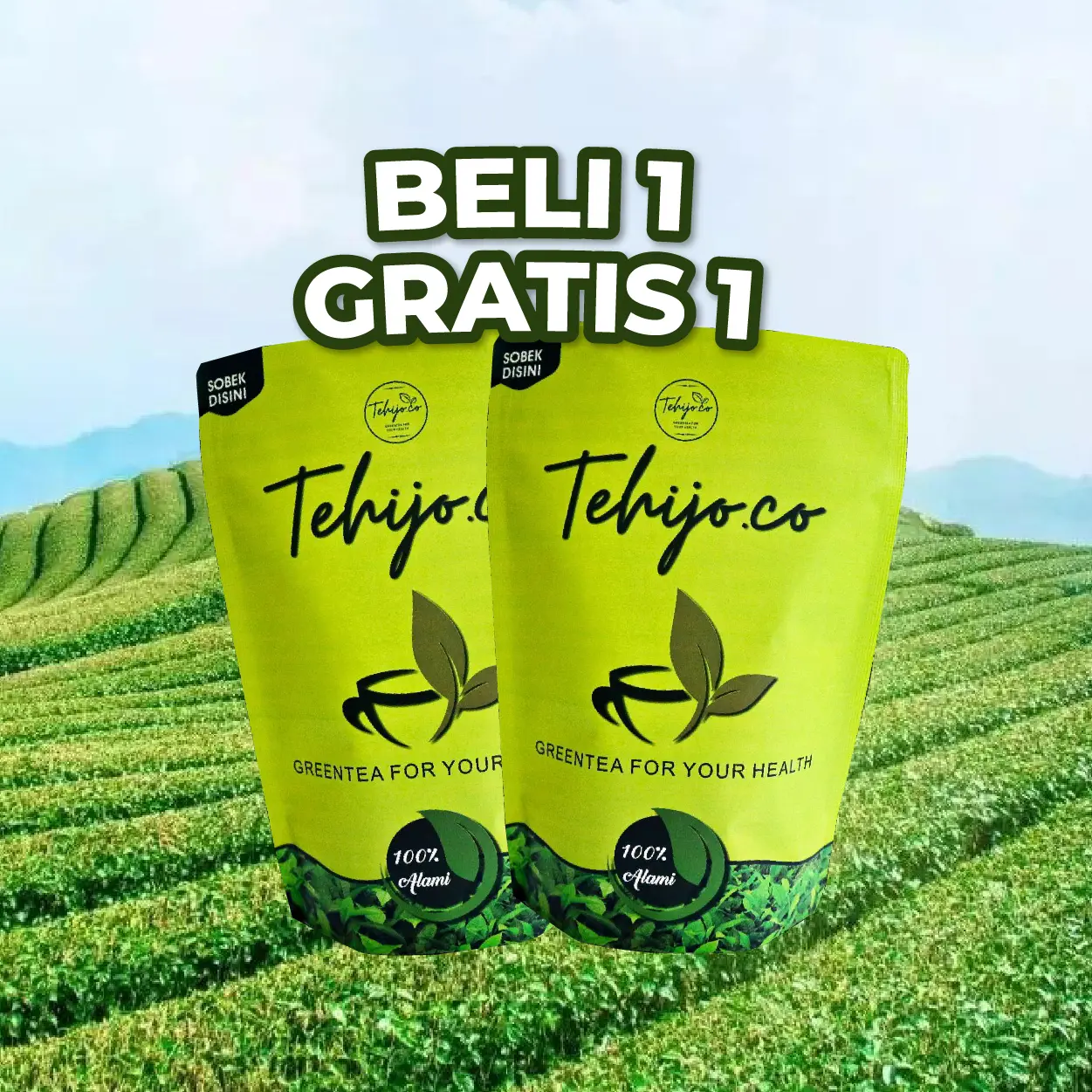 GMV 1 Tehijo.co Beli 1 gratis 1 Teh Hijau Alami - Teh Hijau Sehat - Greentea, Tea